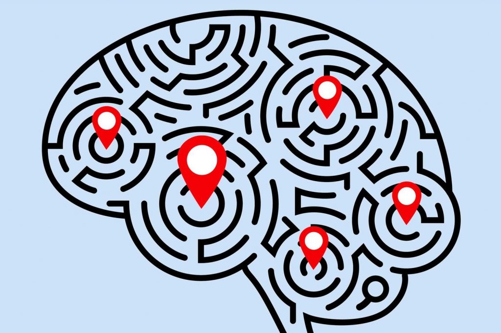 Brain with lines